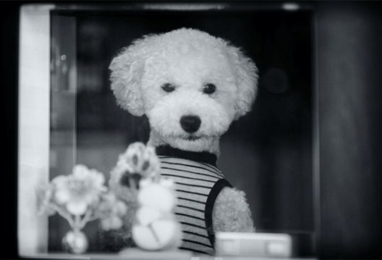 早田カメラの店先にて(2021)
