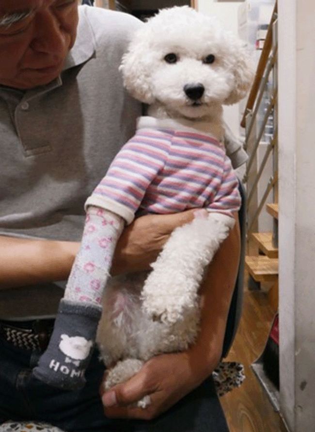 バイク事故とN村病院
